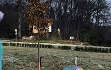 Фото 2: У Винниках облаштовують сквер пам'яті новітніх Героїв: тут висадили перші клени та граби