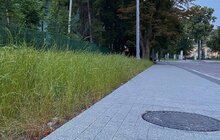 Фото 6: На вул. Пекарській тривають масштабні ремонтні роботи: до кінця літа ремонт вулиці планують завершити