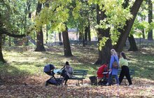 Фото 6: У парку ім. Івана Франка продовжують облаштовувати другу за важливістю доріжку за унікальною методикою