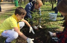 Фото 4: Сьогодні Львів прибирають в рамках акції «З нами місто розквітає»