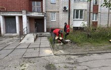 Фото 2: Через сильний вітер у Львові фіксують повалені дерева: комунальники працюють над ліквідацією наслідків