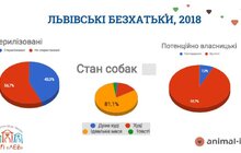 Фото 4: ЛКП «Лев» оголосило результати IV загальноміського підрахунку безпритульних собак у Львові