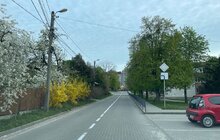 Фото 4: На вулицях Львова поновлюють дорожню розмітку