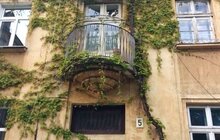 Фото 4: У Львові відзначили переможців загальноміського конкурсу на найгарніше заквітчані підвіконня, літній майданчик, балкон міста