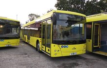 Фото 8: Перші 10 МАЗів вже у Львові: до кінця року місто має отримати ще 140 великогабаритних автобусів