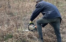 Фото 3: Міські служби ліквідували стихійні сміттєзвалища на Брюховицькому та Ряснянському кладовищах