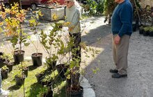 Фото 3: У Львові біля військового госпіталю за грантові кошти облаштували доступний сквер для мешканців району та пацієнтів