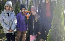 Фото 8: У шести школах та дитсадках Львова висадили дерева і кущі