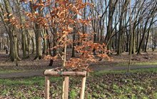 Фото 8: Ще два майданчики оновили в парку Виговського