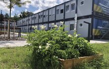 Фото 20: Овочі, квіти, пряні трави і навіть кавуни: що росте на городах мешканців модульного містечка