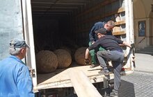 Фото 5: На вул. Л. Українки відремонтували тротуар та висаджують клени
