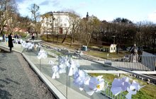Фото 27: Сотні львів’ян долучились до тихої акції «Ангели пам’яті»
