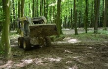 Фото 21: На Сихові розпочали роботи з облаштування парку духовної культури