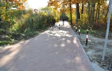 Фото 15: Роботи з будівництва велодоріжки на Рясному виконано на 70%