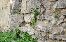 Фото 5: У Львові розпочали роботи з консервації руїн синагоги «Золота Роза»