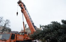 Фото 11: У Львові встановили головну новорічну ялинку: за тиждень її урочисто відкриють