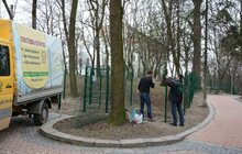 Фото 8: У Львові з’явиться мережа вигульних майданчиків для собак: перший пішов!