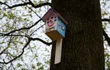 Фото 4: У Стрийському парку та парку ім. І. Франка з'явились шпаківні