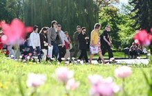 Фото 1: У Львові відбулась перша екскурсія памʼяті Ірини Фаріон (відео)
