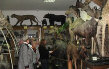 Фото 5: Для дідусів та бабусь організували екскурсію в Зоологічний музей