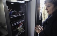 Фото 8: На початку травня у Львові відкриють Центр адопції безпритульних тварин