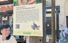 Фото 2: Персики, лохина, крафтові сири та м’ясо: на площі Ринок щосуботи проходить фермерський ярмарок