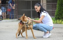 Фото 20: У Львові відомі спортсмени допомагали безпритульним тваринам