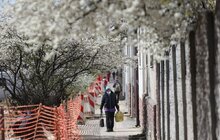 Фото 8: На вул. Шевченка тривають роботи з облаштування квазікільця