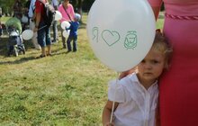 Фото 4: Сьогодні на Сихові свято трамваю