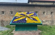 Фото 3: Квітковий годинник на площі Митній вже у синьо-жовтих квітах