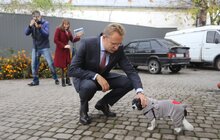Фото 3: ЛКП «Лев» прилаштувало за 3 роки 2 тис тварин