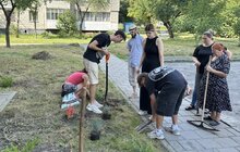 Фото 3: Мешканці висадали понад 40 кущів біля свого будинку: результати першого дня Майстерні міста