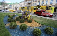 Фото 39: У Львові висаджують квіткові композиції
