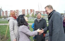 Фото 25: У Львові висадили 20 сакур, які місту подарувало Посольство Японії