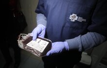 Фото 13: Розпочав роботу перший у Західній Україні банк крові для тварин: унікальний проект ЛКП «Лев» та партнерів