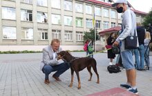 Фото 17: Напередодні нового навчального року у школі №30 капітально відремонтували спортивну зону