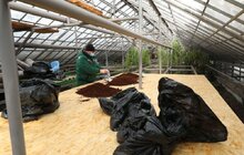 Фото 2: У парку «700-річчя Львова» продовжують посипати доріжки кавовою гущею для боротьби з ожеледицею