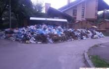 Фото 36: У місті 265 майданчиків, де ситуація з вивезенням сміття критична 