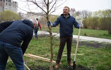 Фото 9: У Львові триває загальноміське прибирання міста в рамках акції «З нами місто розквітає»