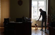 Фото 11: Візьми собаку на роботу: працівники мерії Львова прийшли на роботу із чотирилапими (відео)