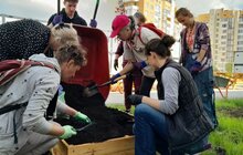 Фото 23: У Львові мешканці модульного містечка висадили грядки