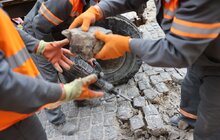 Фото 2: На вул. Галицькій проводять поточний ремонт пішохідної частини