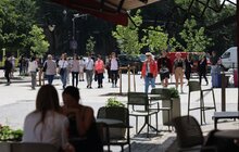 Фото 4: На площі Галицькій висадили нові дерева