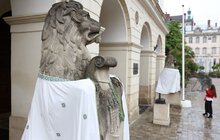 Фото 3: День вишиванки: львівських левів перед Ратушею одягнули у вишиті сорочки (фото/відео)