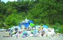Фото 27: У Львові на кінець дня переповненими є 285 майданчиків у 4 районах міста