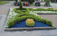 Фото 5: Біля пам’ятника С. Бандері облаштували квіткові клумби