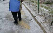 Фото 16: Мерія просить усіх учасників дорожнього руху бути максимально обережними через ожеледицю