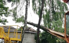 Фото 33: «Комунальні служби продовжують ліквідовувати наслідки негоди, вихідні плануємо оголосити робочими днями», - І. Маруняк