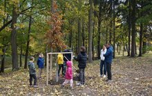 Фото 4: У Стрийському парку висадили нові дерева