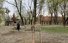 Фото 1: У Львові висаджують 33 дерева, закуплені коштом благодійників